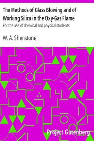 [Gutenberg 33941] • The Methods of Glass Blowing and of Working Silica in the Oxy-Gas Flame / For the use of chemical and physical students